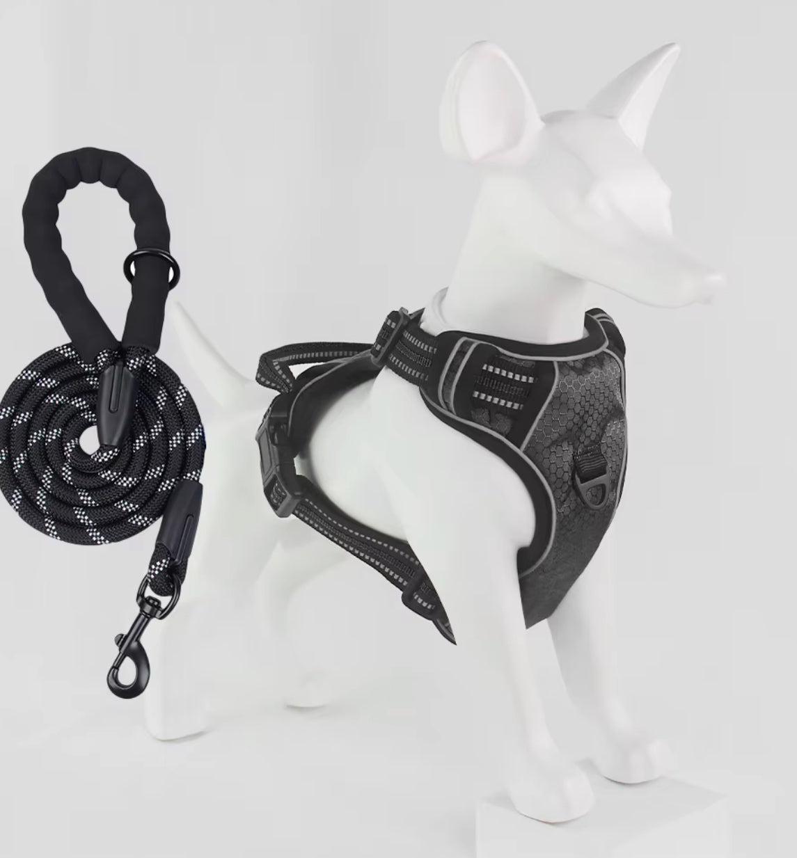 Hundsele med koppel – tryggare promenader varje dag
