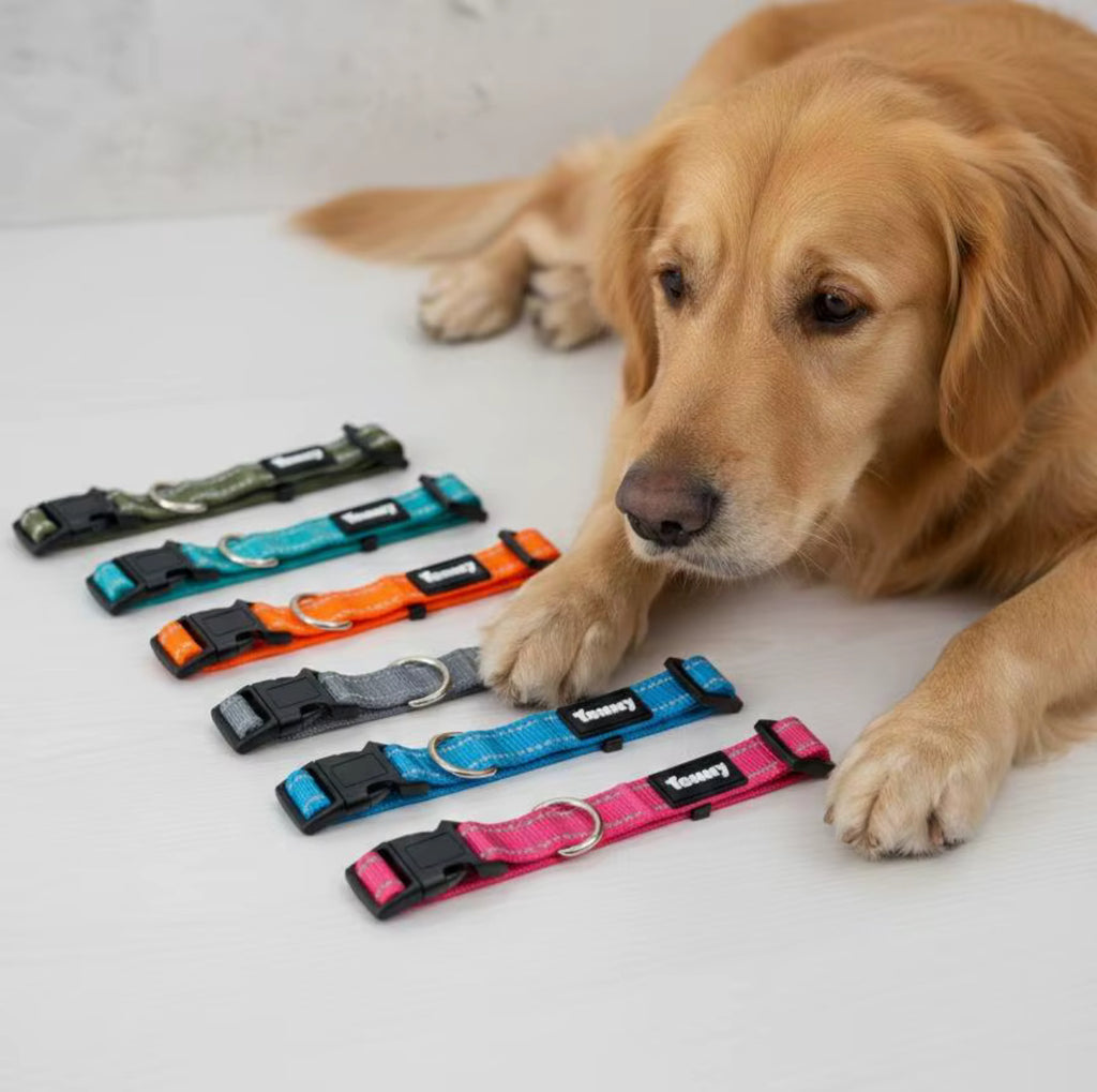 Hundhalsband  Slitstarkt & bekvämt halsband – justerbart med snabbspänne