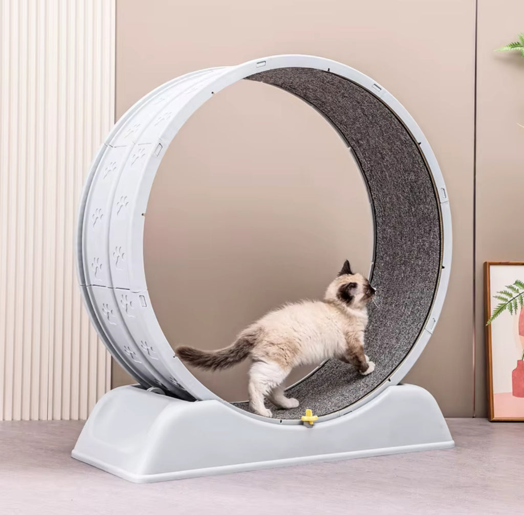 Kattmotionshjul med Utbytbar Klösmatta – 80 cm