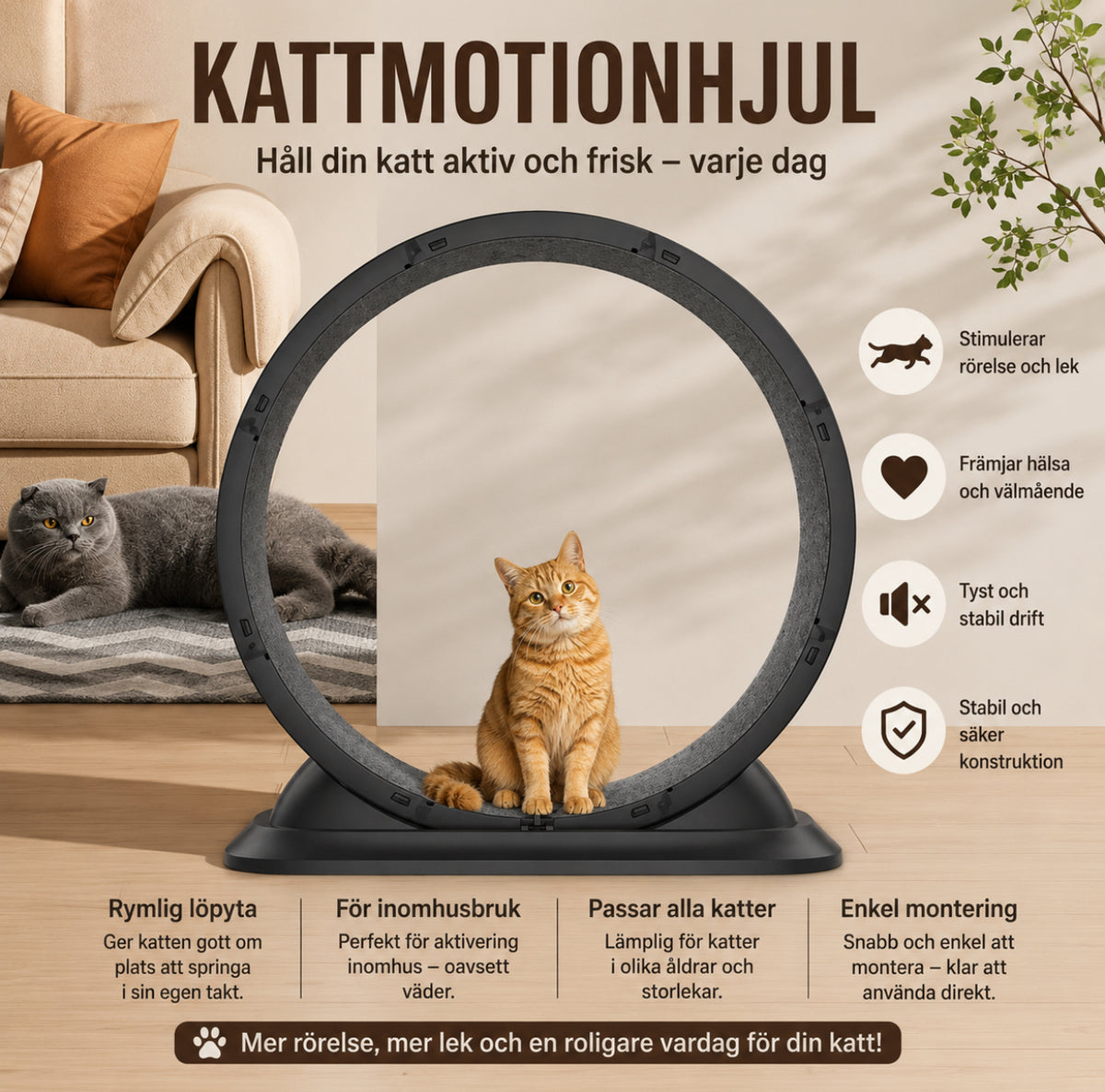 KattMotion – Motionshjul för en aktiv katt