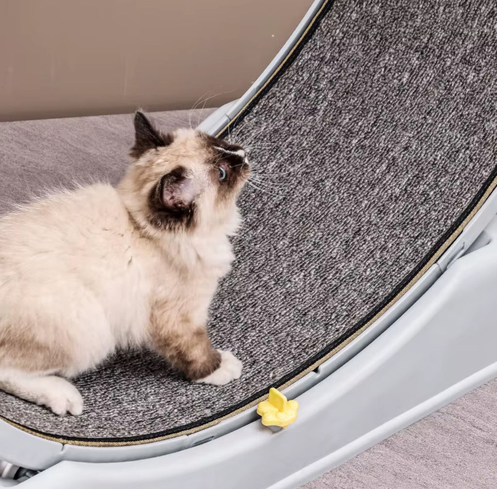 Kattmotionshjul med Utbytbar Klösmatta – 80 cm