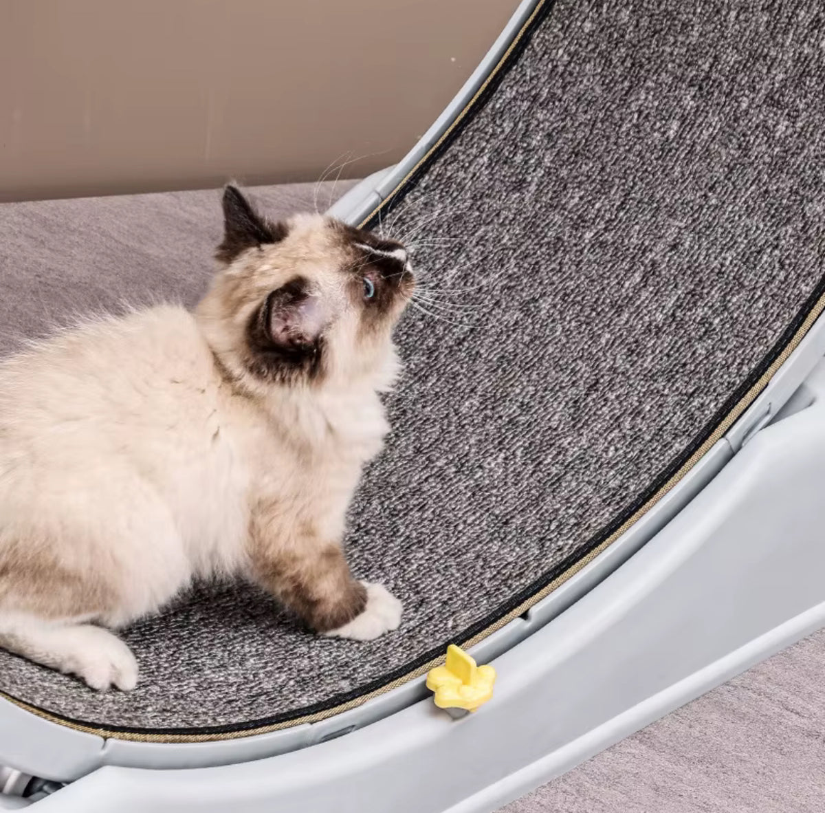 Kattmotionshjul med Utbytbar Klösmatta – 80 cm