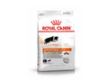 ROYAL CANIN Sporting Life Energy 4100 Helfoder för vuxna hundar över 10 kg